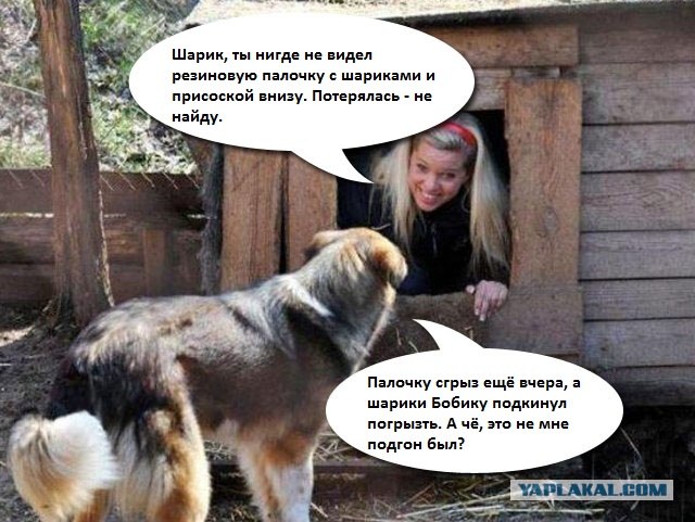 Фотожаба: Собака с Девушкой