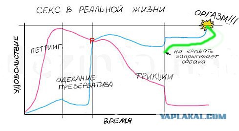 Секс в кино и жизни
