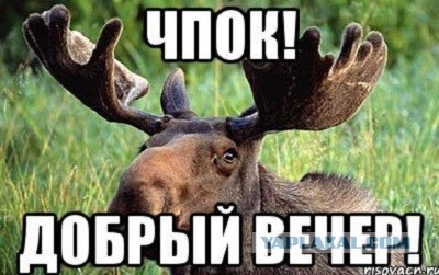 Москва - город женщин в поисках любви (немного соплей)