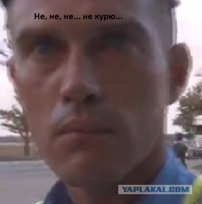 Дунули и полетели