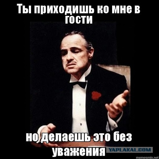 Мартышка думала что прокатит