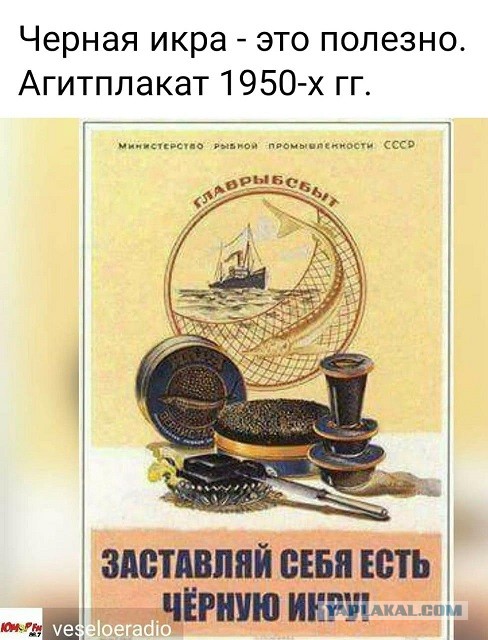 Магазины Москвы в 1959 году
