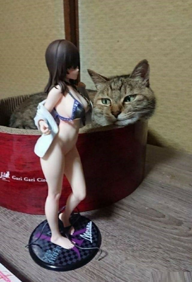 Да она косплейщица, пацаны