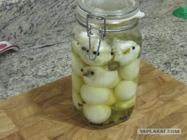 Вся правда о КАБАЧКАХ и ЦУККИНИ