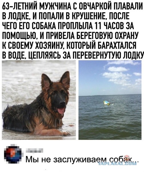 Так себе картинки 07.09.21