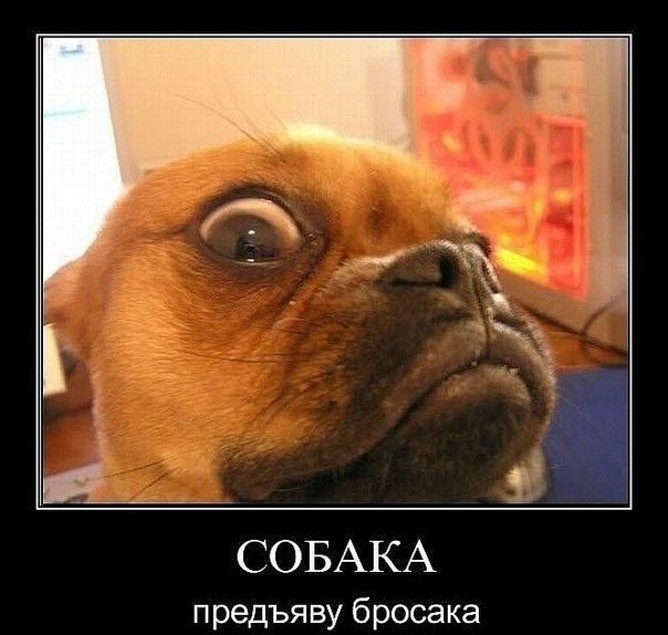 ТруЪ демотиваторы