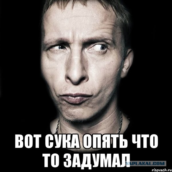 Путин выступил против введения ограничений с QR-кодами под Новый год