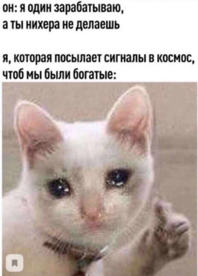 Баянисто-небаянистый юмор 8.01.22