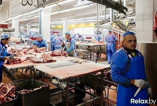 В поисках рецепта «Докторской»: как делают колбасу на «Брестском мясокомбинате»