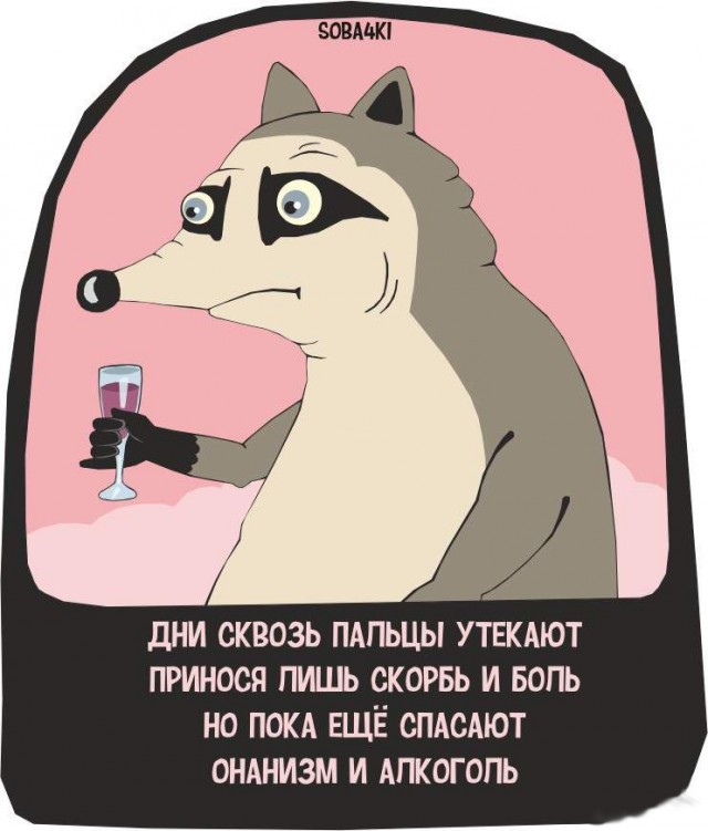 Так себе картинки 14.07.22