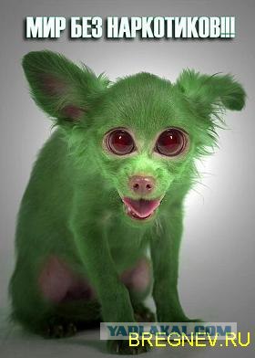 Игра в слова с фотографиями
