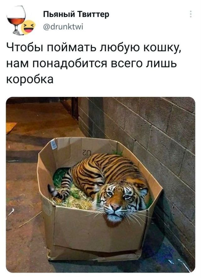 Картинки и мемы, всем хороших выходных