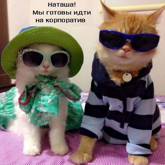 Так себе картинки 02.01.2023