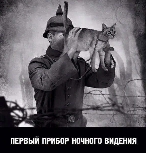 Снайперский "Максимка"