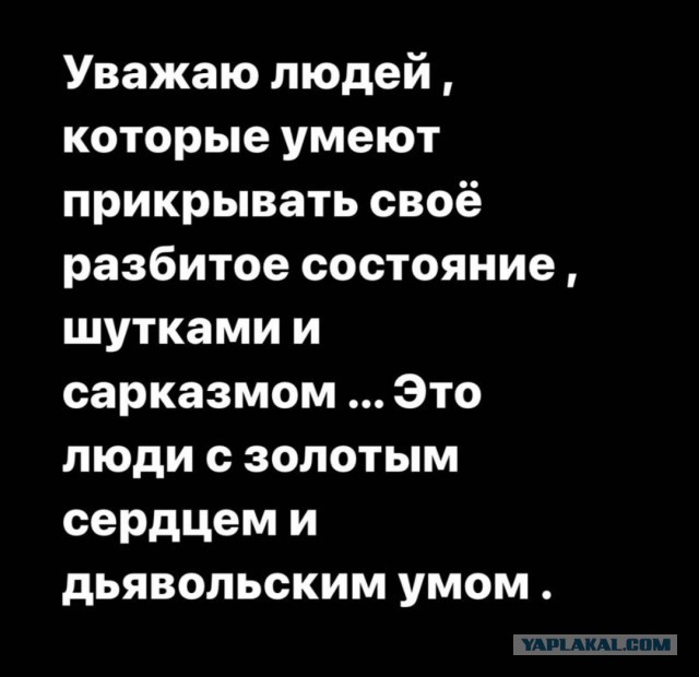 Фарш из баянов