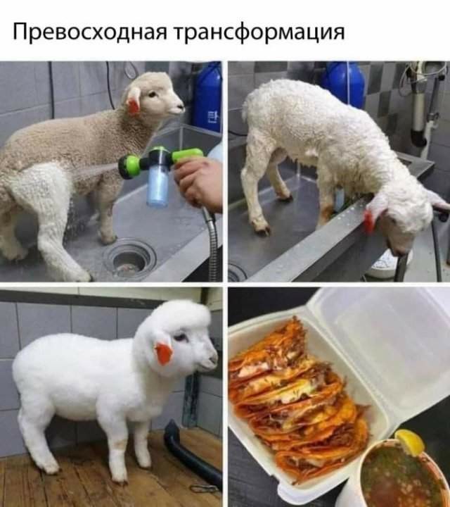 Картинок вам в серые трудовыебудни