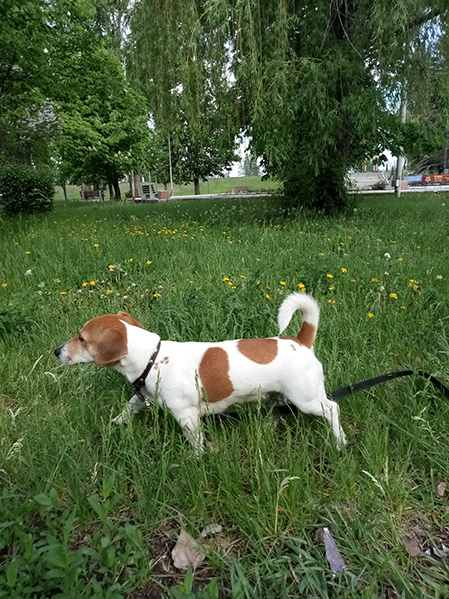 Стал рабом