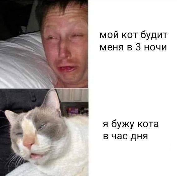 Так себе картинки 14.09.23