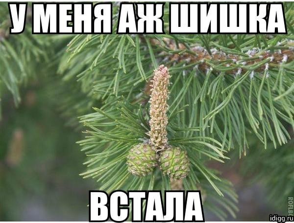 300 дней за минуту