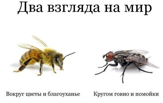 Вопрос радистам