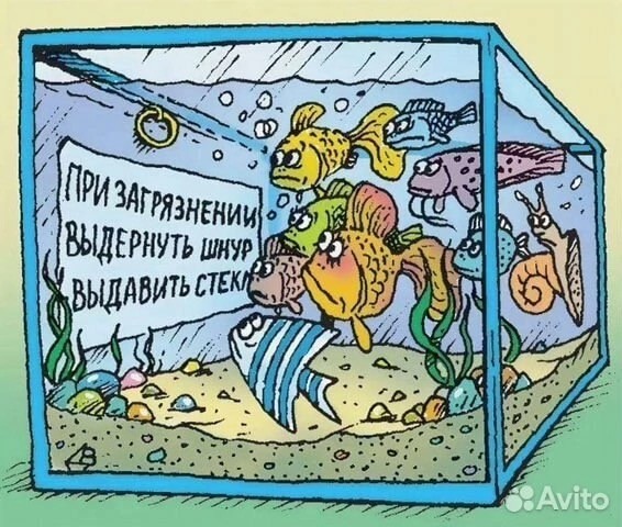 Прикольные и просто красивые картинки 27.09.2024