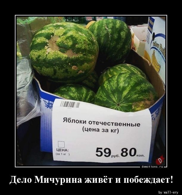 Гвоздь мне в корень: для чего Мичурин забивал под деревья здоровенные гвозди