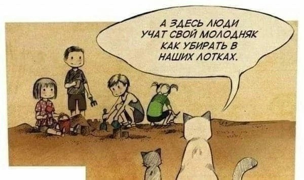 Немножко случайных картинок