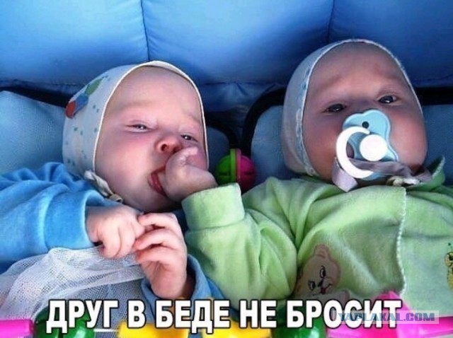 Друг в беде не бросит