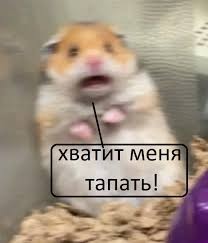 Залипательное кино
