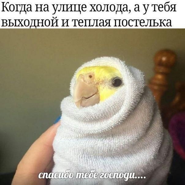 Вечер воскресенья