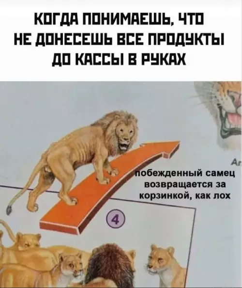Картинки для деградации 101 (разной степени свежести)