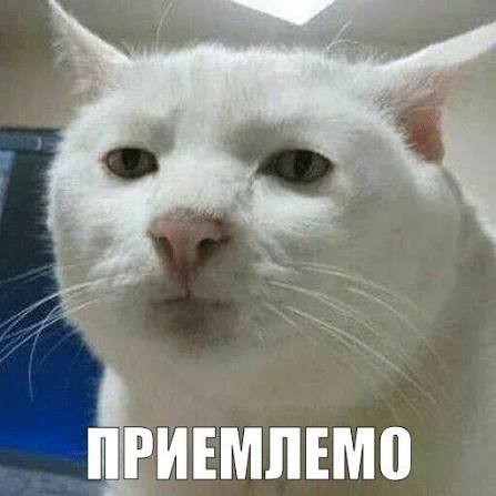 Уже запутался в значении слова «сугубо»...⁠