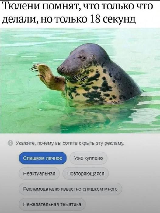 Картинки для деградации 152 (разной степени свежести)