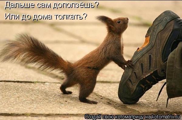 Картиночки, баянчики 15 марта