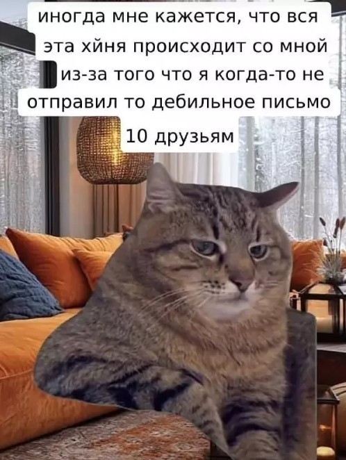 К котовторнику: подборка картинок-баянов с котиками и про котиков. Выпуск 33..
