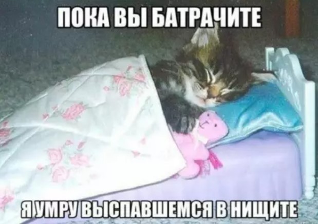 Всем нужно ходить на работу