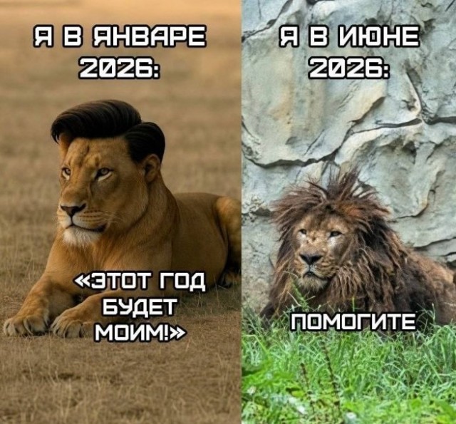 Картинки новые и старые, баяны и аккордеоны