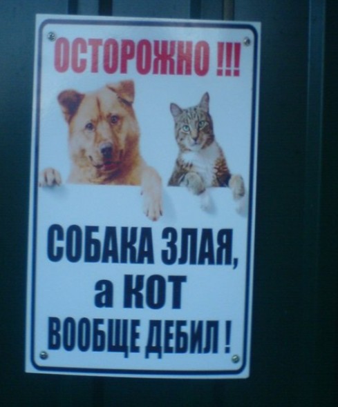 Быть курьером в Америке