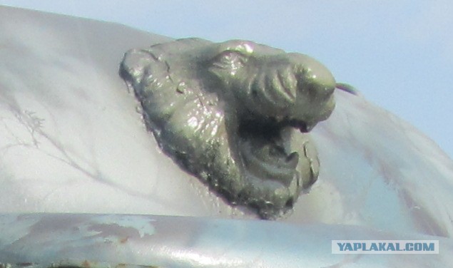 Не перевелись еще...