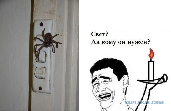 Почистим зубы?
