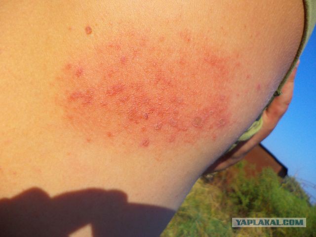 Рыбалка в Астрахани
