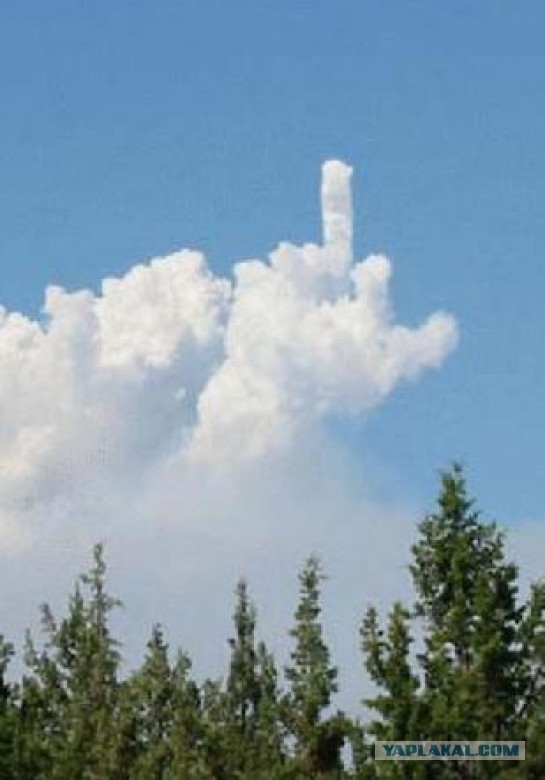 Немного о лете.