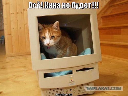 «Правый сектор» готовит очередной переворот.