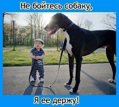 Смешные комментарии из социальных сетей.