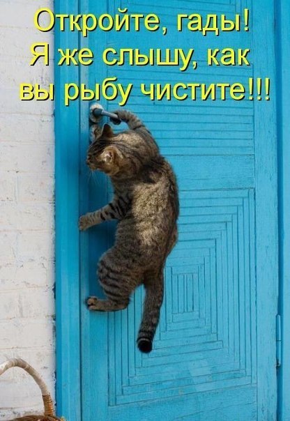 Рыбалка не задалась с самого начала