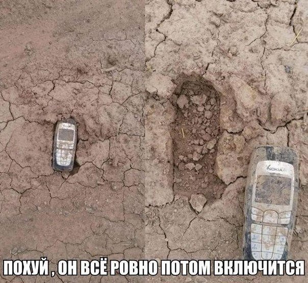 Смешные картинки