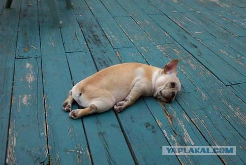 Позитивные картинки