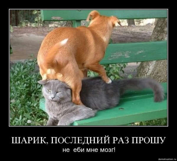 Весна!