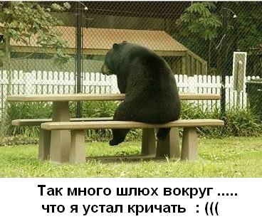 Отдохнувшая Аня