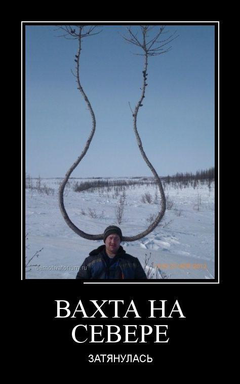 Демотиваторов пост, добавляйте свои
